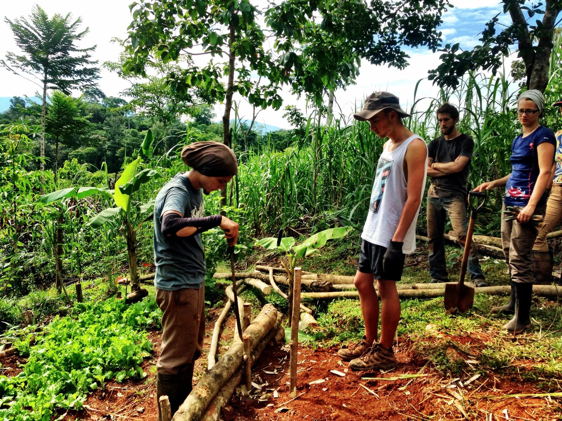 People collaborating in a field in Costa Rica